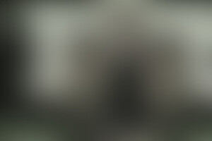 Фотография ролевого квеста Борьба за престол от компании Questime (Фото 1)