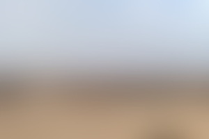 Фотография ролевого квеста Остров забытых легенд от компании Questime (Фото 1)